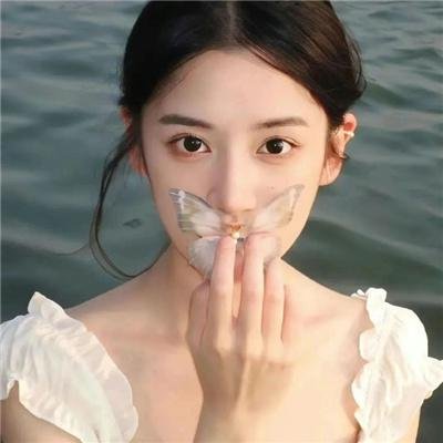 真情给你